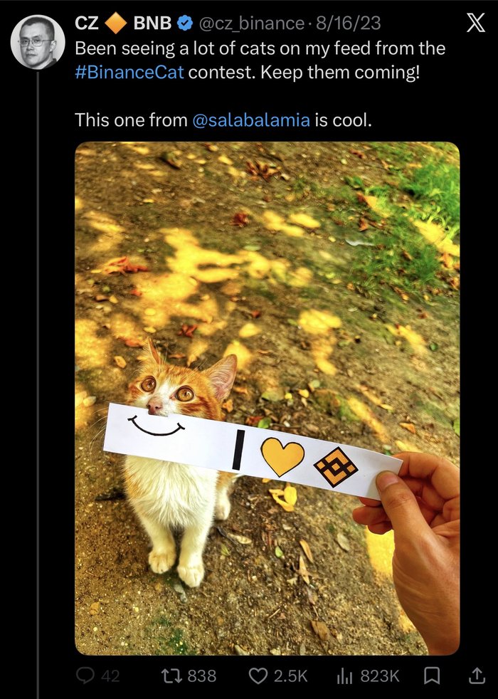 Screenshot of CZ's tweet on X about the #BinanceCat contest, featuring a cat holding an I love BNB sign